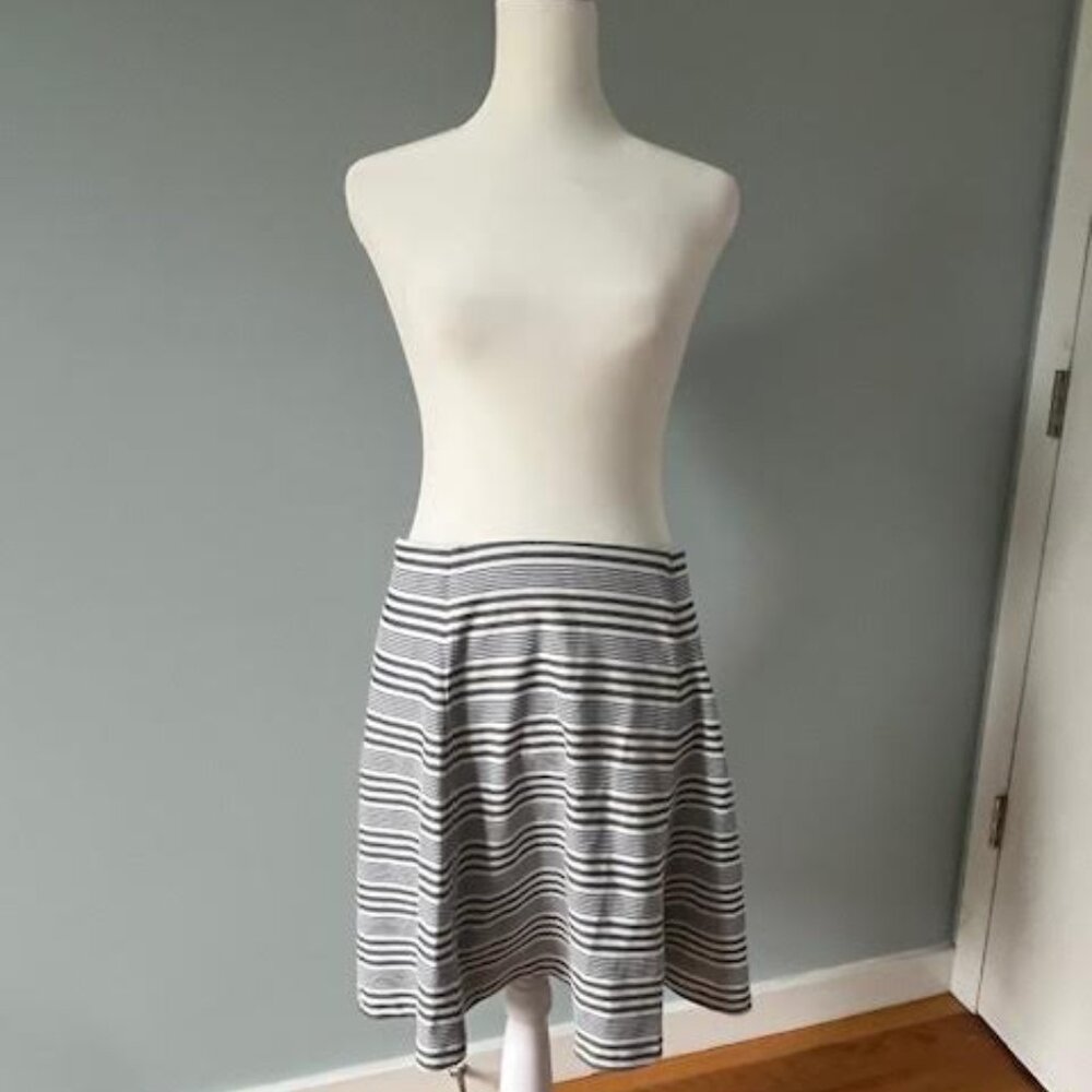 Blue Striped Banana Republic Mini Skirt